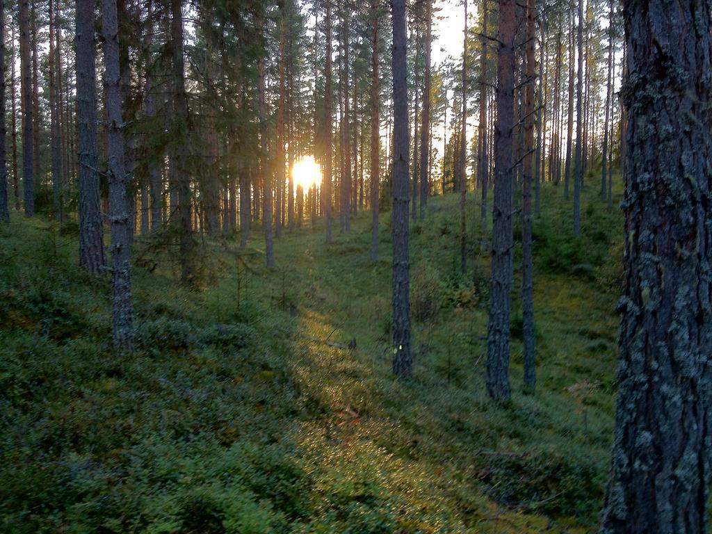 Rustika Strandstugor Utanfoer Raettvik Exterior foto